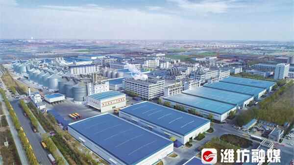 寿光：16个重点项目集中签约