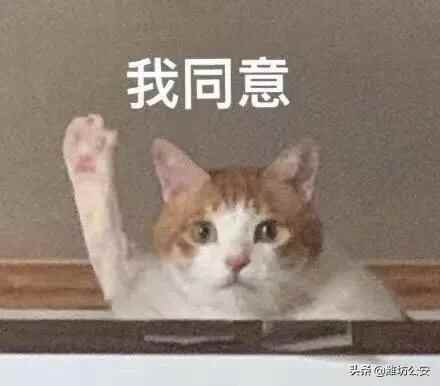骑电动车必须按规定戴头盔，潍坊180处免费领取点地址电话公布！