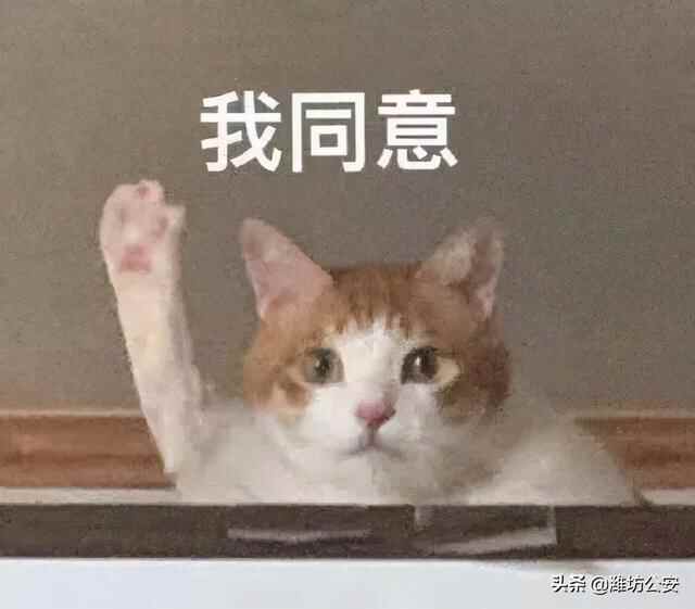 骑电动车必须按规定戴头盔，潍坊180处免费领取点地址电话公布！