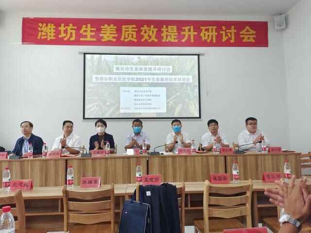 推动生姜全产业链技术创新，潍坊举办职业农民生姜质效提升培训班