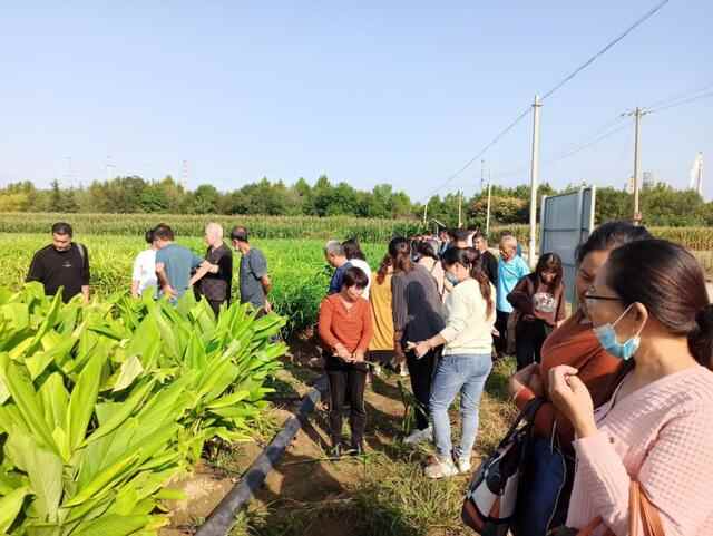 推动生姜全产业链技术创新，潍坊举办职业农民生姜质效提升培训班