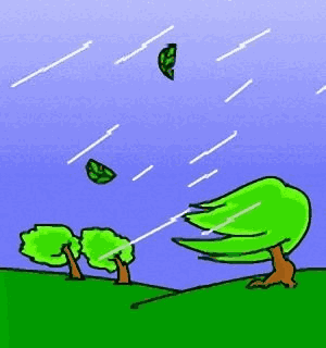 雷电＋大风双预**！雨来了！