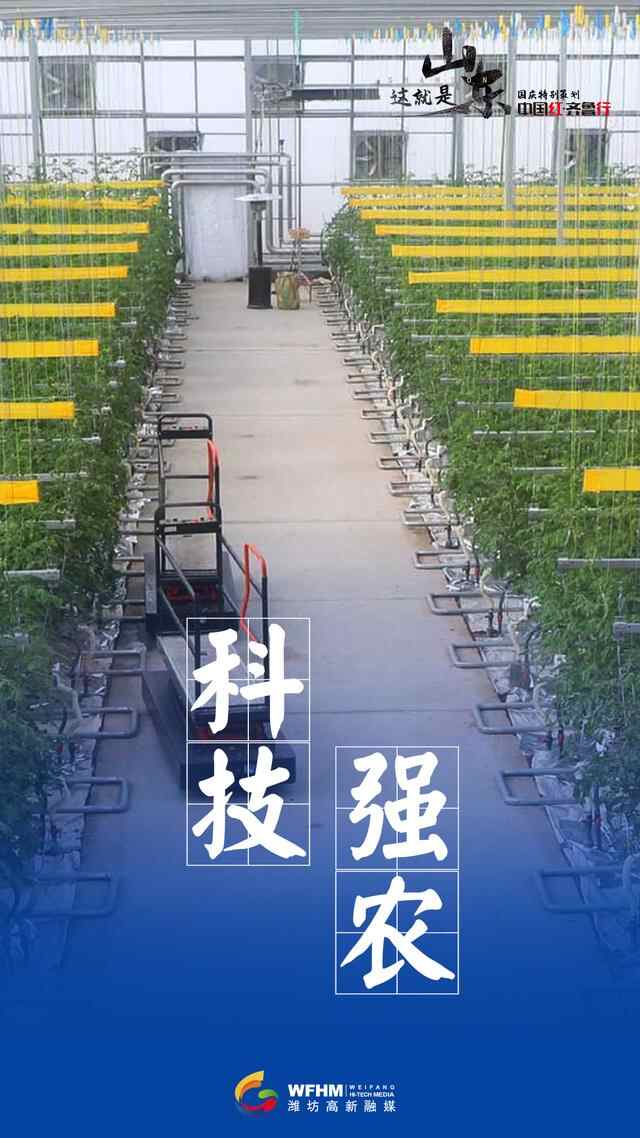 中国红•齐鲁行丨潍坊，蔬菜之乡