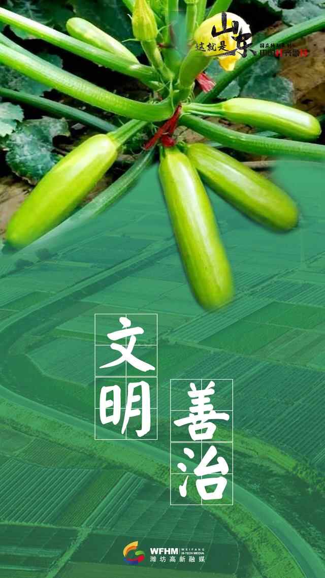 中国红•齐鲁行丨潍坊，蔬菜之乡