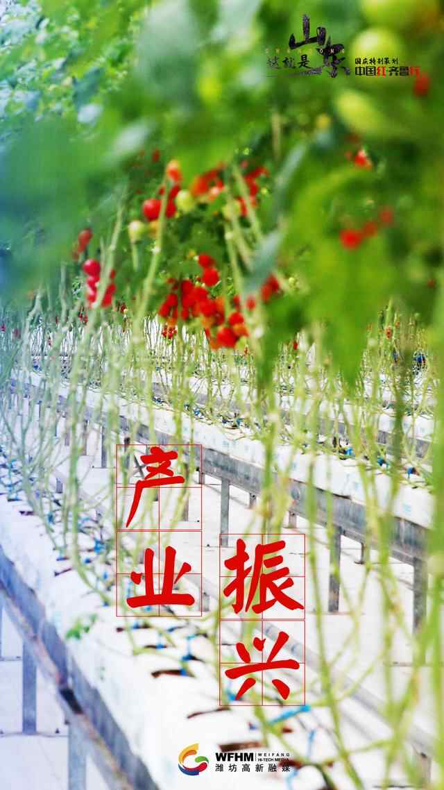 中国红•齐鲁行丨潍坊，蔬菜之乡