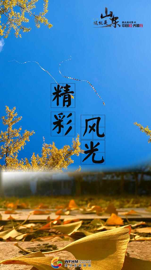中国红•齐鲁行丨潍坊，蔬菜之乡
