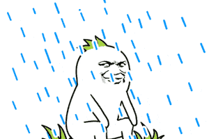 最新！潍坊各地雨情通报