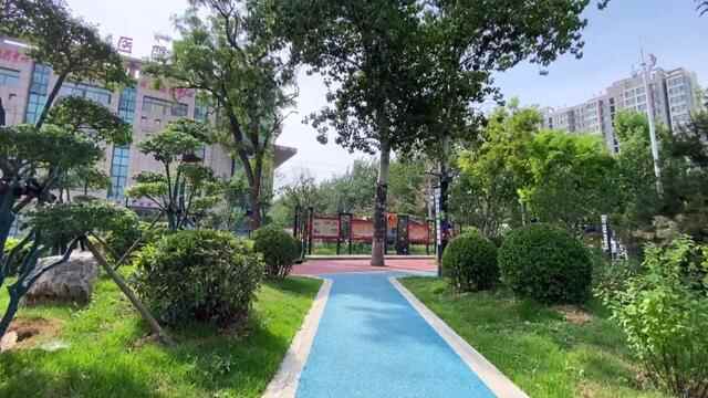 公园潍城，生态潍城：小景大致，入眼成诗，转角遇到美