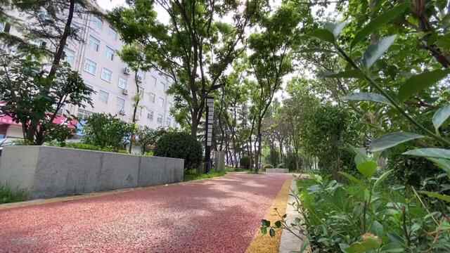 公园潍城，生态潍城：小景大致，入眼成诗，转角遇到美