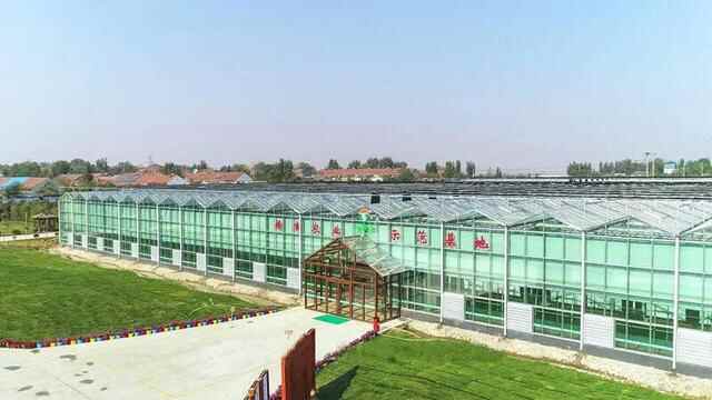 潍坊市坊子区正在快速崛起的密码是什么？