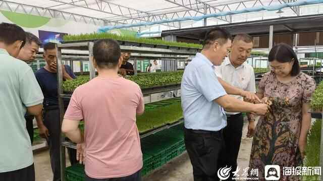 薪火相传 接续奋斗——潍城区组织开展庆“七一”系列主题活动