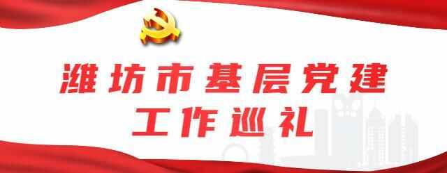 寿光市：全域统筹、整体推进基层党组织建设