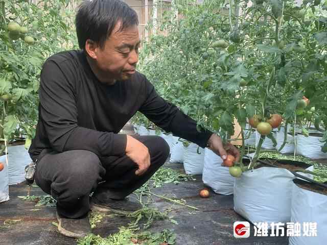 寿光市：全域统筹、整体推进基层党组织建设