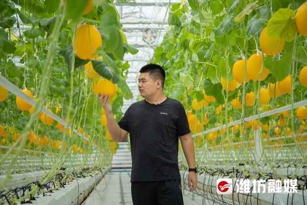 寿光市：全域统筹、整体推进基层党组织建设