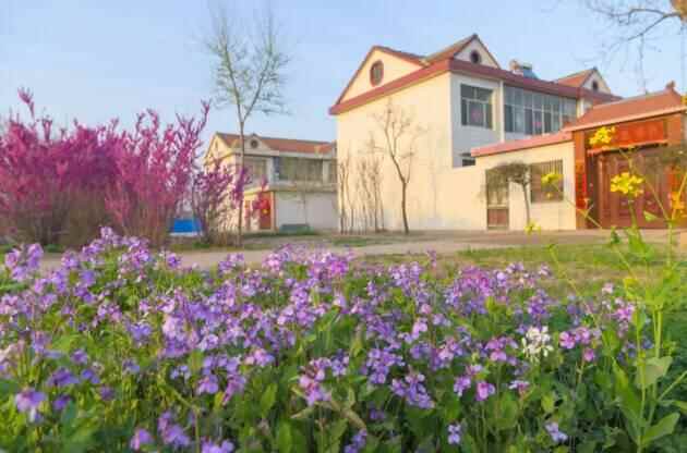 潍坊寿光市：阳光暖暖 幸福满满