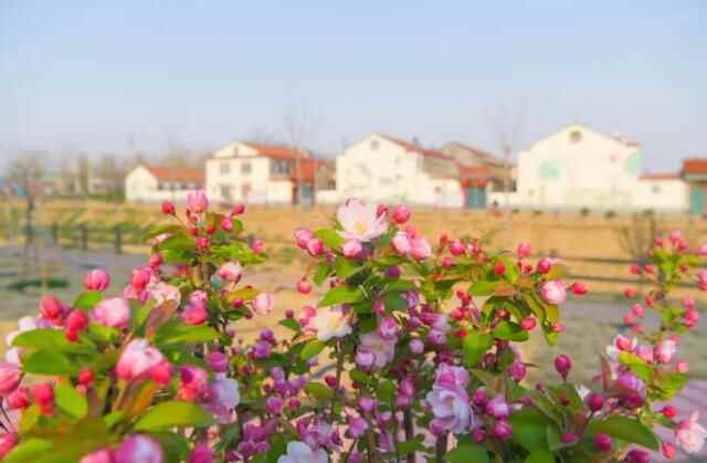 潍坊寿光市：阳光暖暖 幸福满满