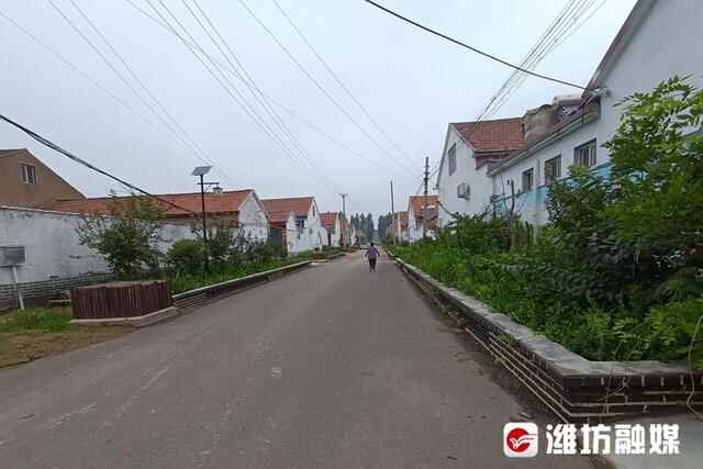 “移居”变“宜居”——潍城区“美丽移民村”建设侧记