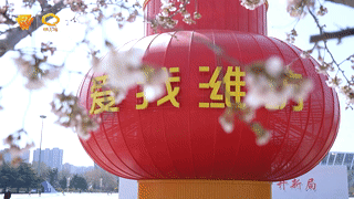 今日谈 | 用爱筑起潍坊的城市精神