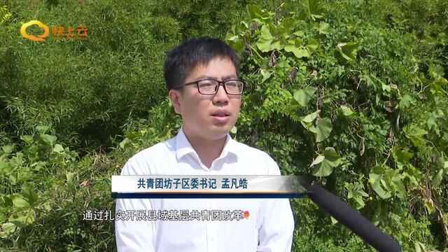 担当使命攻坚克难 推动潍坊发展迈向新高度