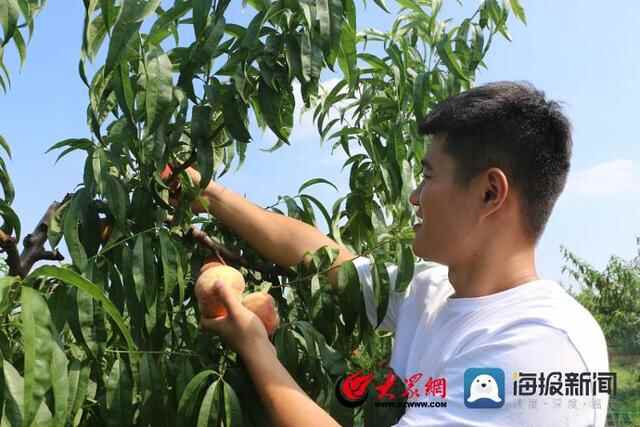 诸城市南湖片区：政企合作抓实农技培训，科学种植助力农民增收