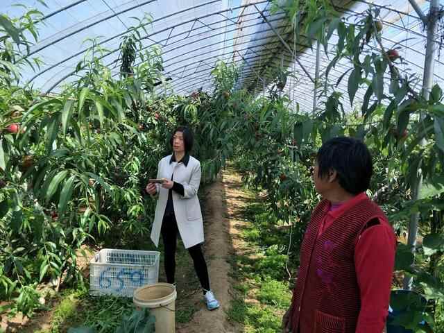 名单揭晓→潍坊这7位“女农人”，优秀！