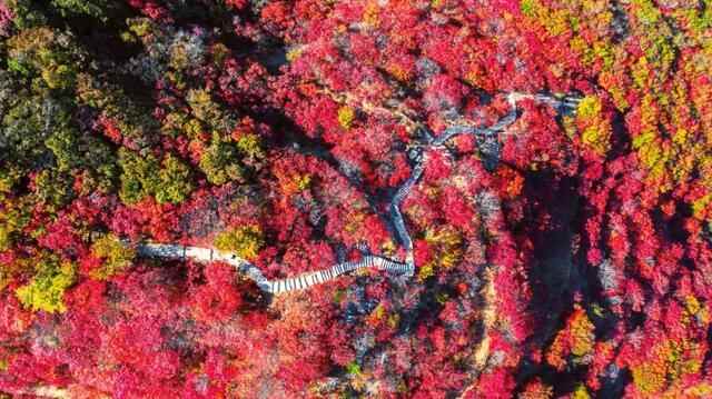 这就是青州