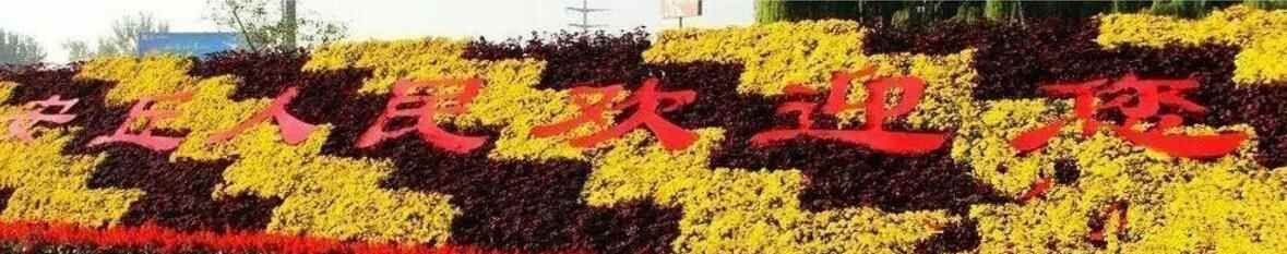 山东潍坊安丘