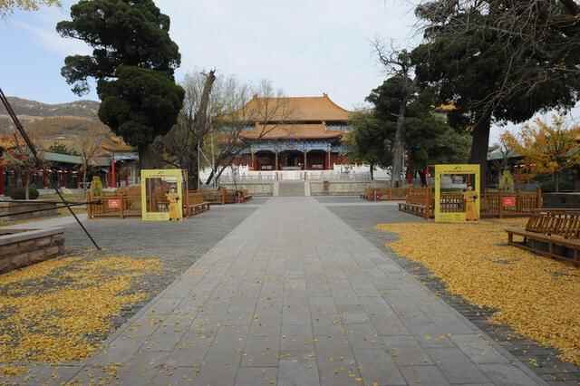 山东临朐：发展节会经济，当好文旅资源“推介**”
