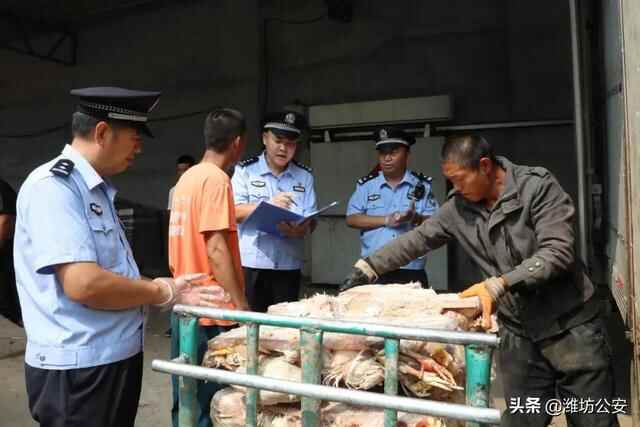 潍坊安丘公安：数据赋能 合成打击 源头管控,向食药环犯罪亮剑!