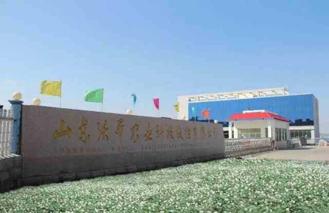 两大企业，一大平台，助力安丘市现代化农业发展