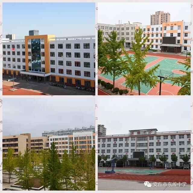 安丘市东埠中学：创建优质品牌学校，回应群众热切期盼