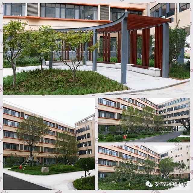 安丘市东埠中学：创建优质品牌学校，回应群众热切期盼