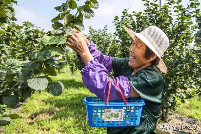 这就是诸城！
