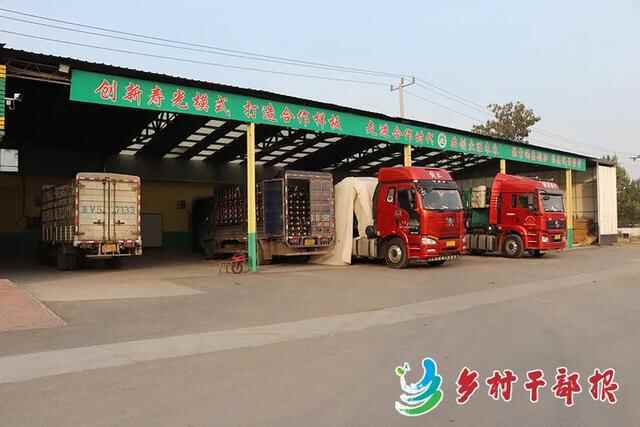 动态 | 牵住“牛鼻子”跑出“加速度”，山东省寿光市交出亮丽发展“成绩单”
