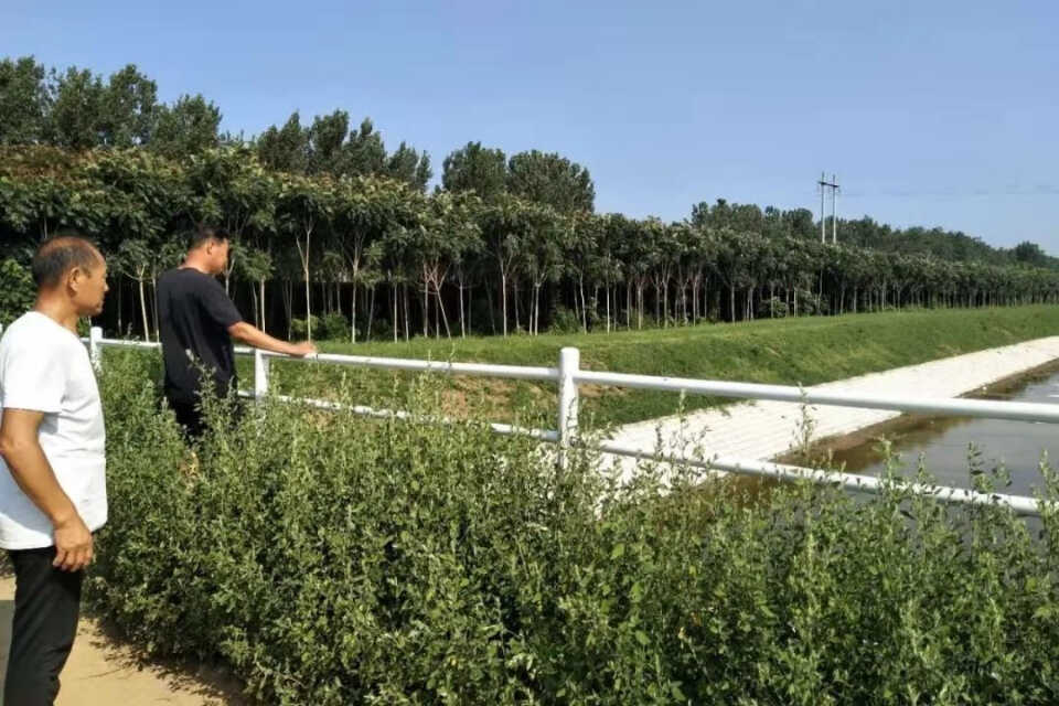 河湖长制管理显成效，寒亭区打造“美丽幸福河湖”