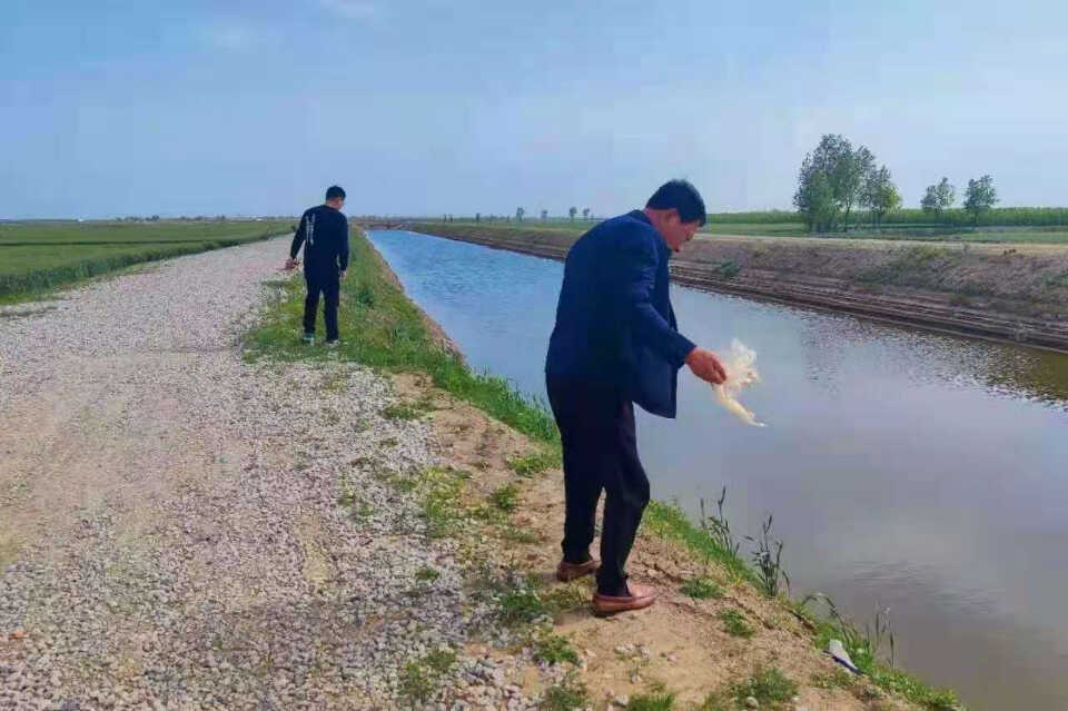 河湖长制管理显成效，寒亭区打造“美丽幸福河湖”