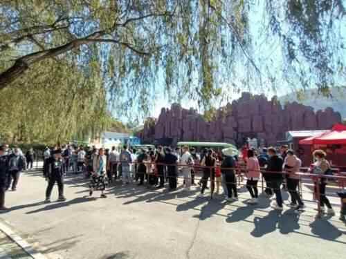 潍坊季节限定美景“红叶”已上线！快去这些地方打卡吧