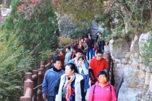 潍坊季节限定美景“红叶”已上线！快去这些地方打卡吧
