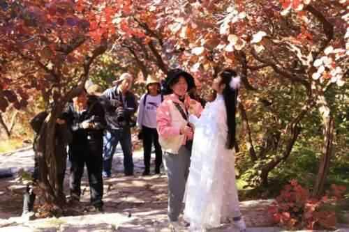 潍坊季节限定美景“红叶”已上线！快去这些地方打卡吧