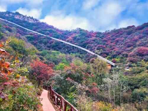 潍坊季节限定美景“红叶”已上线！快去这些地方打卡吧