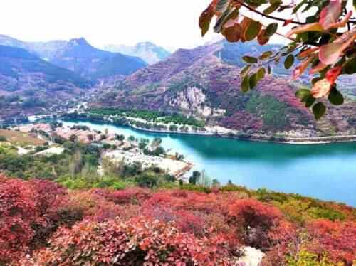 潍坊季节限定美景“红叶”已上线！快去这些地方打卡吧