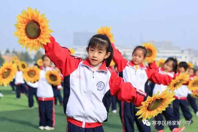 团结奋进，拼搏进取！寒亭区杨家埠小学举行2021年体育艺术节暨秋季运动会