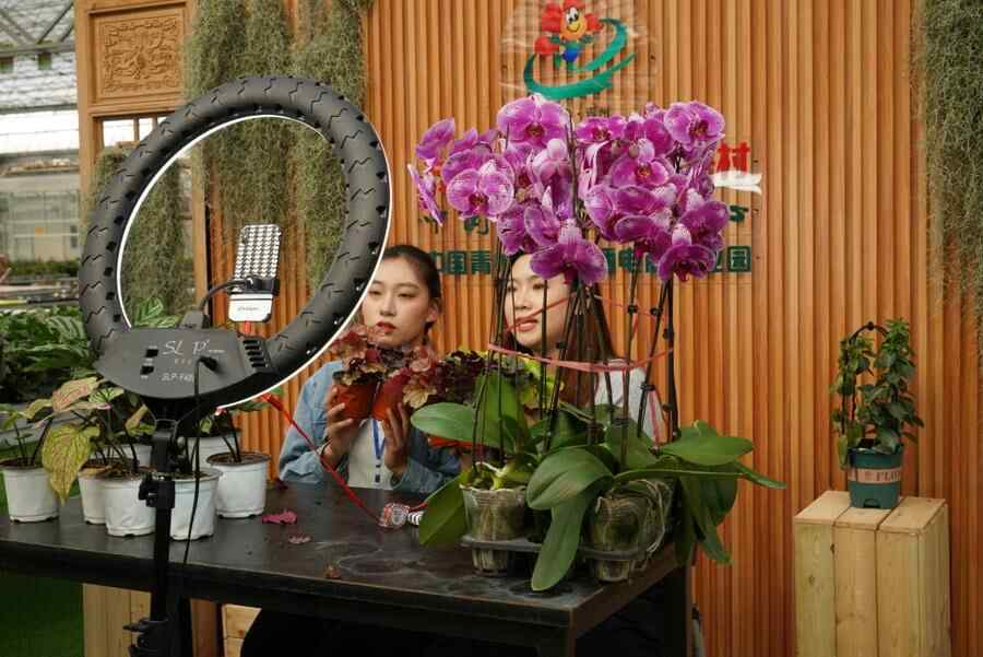 青州：高质量协调发展的县域样本