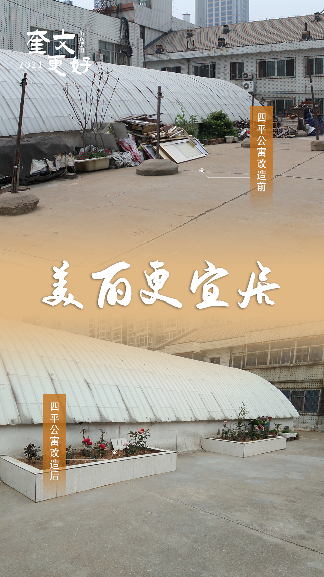 【2021，奎文更好】小区旧改得民心，旧貌新颜惠群众