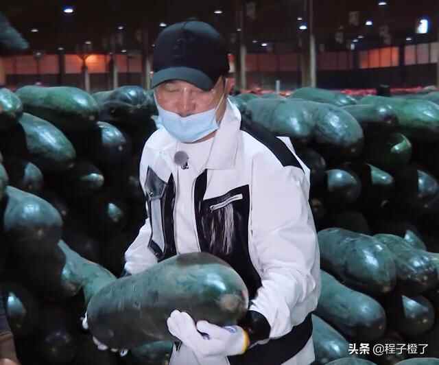 通过跑男认识中国的菜篮子——寿光