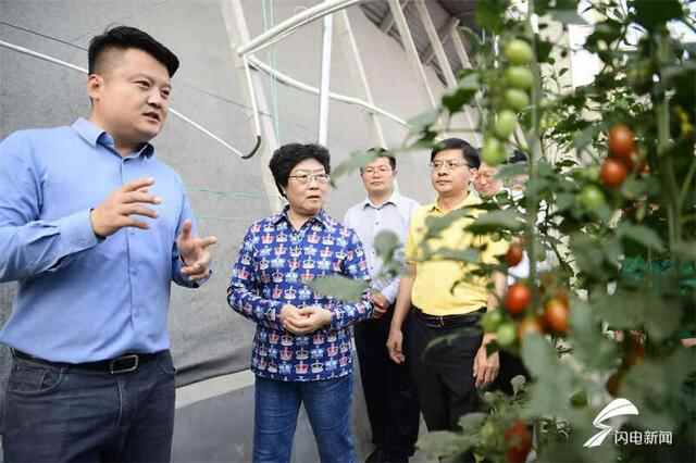 高端智库看山东｜潍坊寿光软实力输出 培养新型职业农民