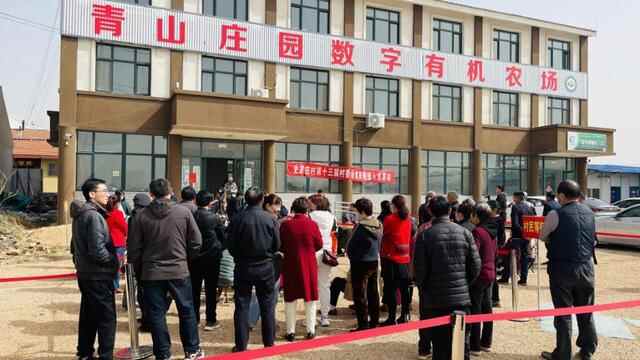 在乡村振兴的大道上阔步前行——昌邑市石埠经济发展区青年干部农村帮扶侧记