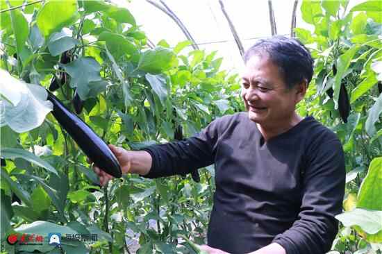 诸城市贾悦镇：以“三抓实”促乡村治理能力提升