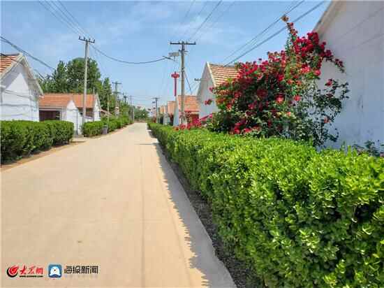 诸城市贾悦镇：以“三抓实”促乡村治理能力提升