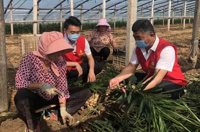 “优秀”！安丘农商银行服务地方经济发展获佳绩